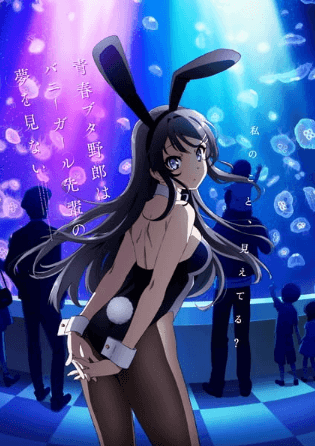 Seishun Buta Yarou wa Bunny Girl Senpai no Yume wo Minai 